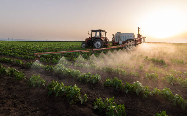 Professional Pest Control in Reedley, CA