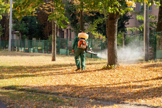 Best Local Pest Control Services  in Reedley, CA