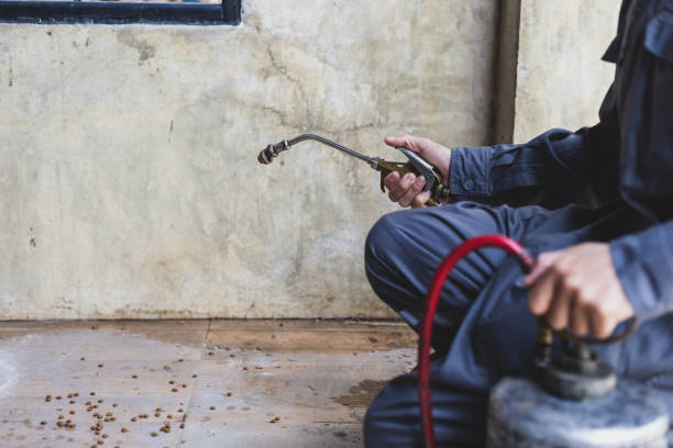 Best Pest Prevention Services  in Reedley, CA